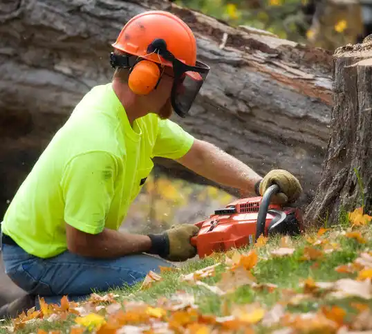 tree services Marlboro